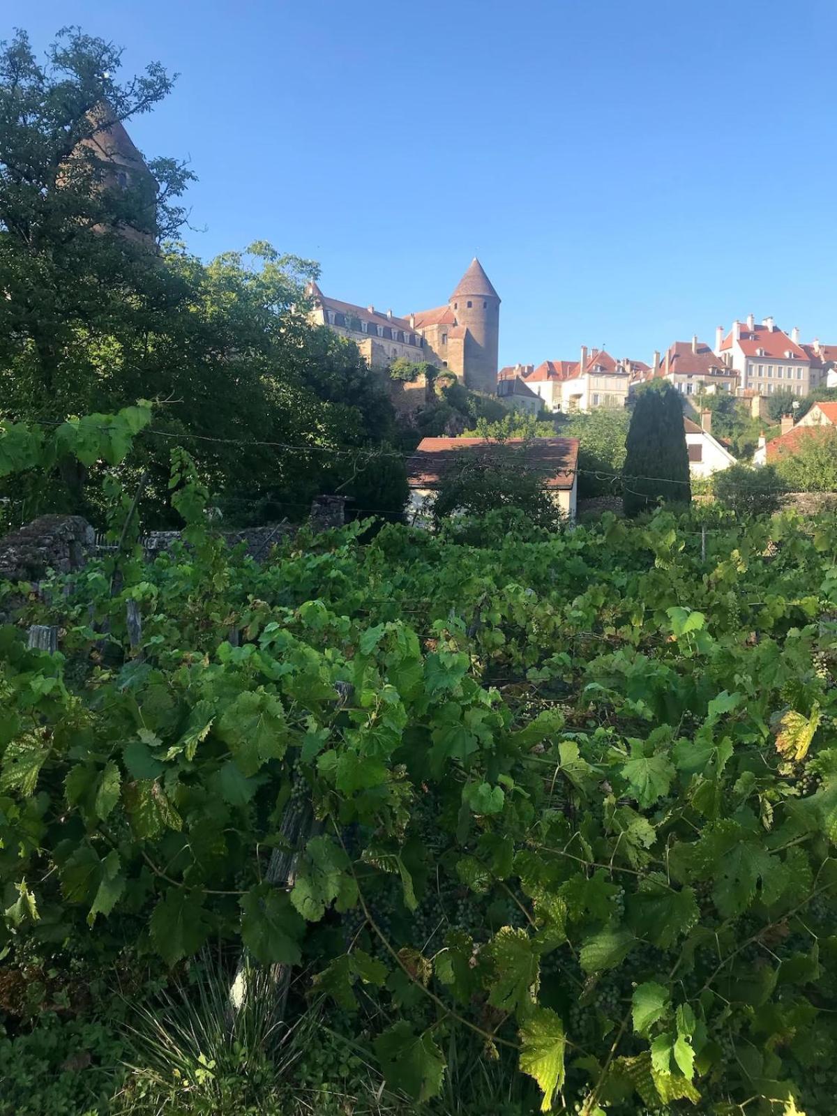 Grande Maison A Semur En Plein Coeur Historique Villa Eksteriør bilde